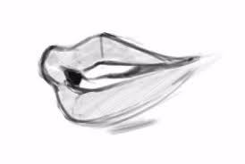 Learn how to draw lips easy for beginners step by step tutorial drawing lips easy step by step for beginnersmy drawing materials linkgraphite pencils : How To Draw Lips Every Angle Know The Shapes Step By Step Gvaat S Workshop