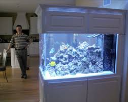 Room Divider Aquarium And Owner Blue Planet Aquarium Aquarium Fish Tank Wall Blue Planet Aquarium