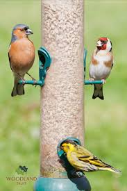 Homemade Bird Feeders For Small Birds Only 10 Common Garden Birds To Spot On Your Bird Feeder Woodland Trust Blog In 2020 Common Garden Birds Bird Feeders Bird Garden