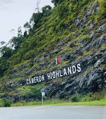 Ketua polis daerah tapah superintendan wan azharuddin wan. Percutian Tenang Ke Cameron Highlands Bajet Bawah Rm1000 Malah Jalan Tak Jammed Mingguan Wanita