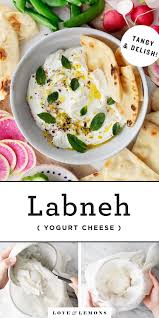 Homemade Labneh Recipe Love And Lemons Recipe In 2020 Labneh Recipe Labneh Recipes