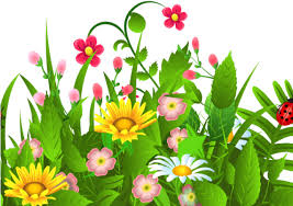 Flowers Borders Clipart Sampaguita Garden Png Transparent Png Full Size Clipart 3821088 Pinclipart 8 circles in a circle. flowers borders clipart sampaguita