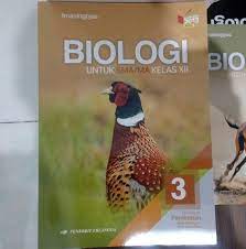 We did not find results for: Kunci Jawaban Biologi Erlangga 12 Masnurul