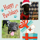 🎄🐶Happy Pawlidays... - Tazito's Dog Daycare and Boarding, LLC ...