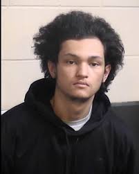 Detectives Arrest Home Invasion Robbery Suspects, Recover Stolen Property  Property crimes detectives with the Fresno County Sheriff's Office have  arrested 21 year old Demetrius Williams of Fresno and 19 year old Joseph