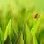 Desktop Wallpaper Full Screen Wallpaper Hd Download