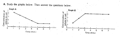 If an animal cell were placed in a hypotonic solution the likeliest result would be. Http Www Livingston Org Cms Lib4 Nj01000562 Centricity Domain 739 Cell 20transport 20hw 20packet 2012 13 Pdf