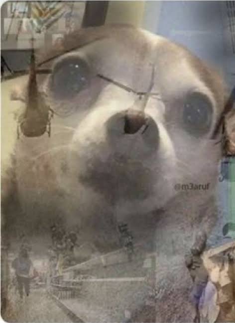 images?q=tbn:ANd9GcS6EP-w9Q5Q5hRHjZTnNJSXTbNuLBW2QiStdQ&usqp=CAU