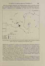 Image result for Crotalaria prolongata