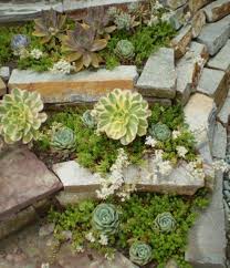 как сделать альпийскую горку на даче своими руками фото Alpijskaya Gorka Na Dache Svoimi Rukami S Kamnyami Foto Posadka Sukkulentov Sadovye Idei Sukkulenty