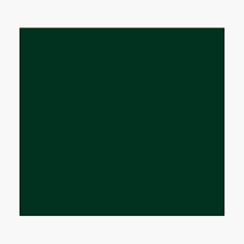 Picture of emerald green colour. Dark Emerald Green Lowest Price On Site Accent Color Decor Photographic Print By Wizzlesemporium Redbubble