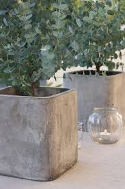 How cool do they look??? Large Concrete Planters Molds