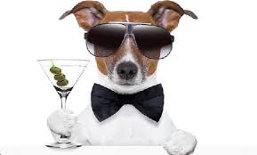 Securities Law and Going Public Blog