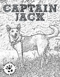 We did not find results for: Rescue Dog Coloring Pages North Meck Animal Rescue