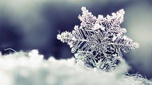 We have a massive amount of hd images that will make your computer or smartphone look absolutely fresh. Snowflake Full Hd Hdtv Fhd 1080p Wallpapers Hd Desktop Backgrounds 1920x1080 Images And Pictures
