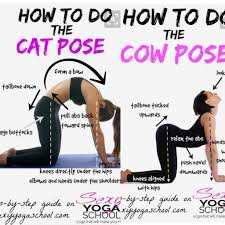 Pin By S H On Neela In 2020 Yoga Posses Cow Pose Yin Yoga