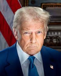 Judges Behaving Badly: Weird Courtroom Tales