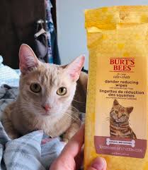 Spraying your cat with water will also make them distrustful of similar bottles and sensations. 25 Problem Solving Products From Amazon For Cat Owners