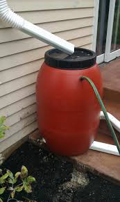 Rain barrel overflow gives you an opportunity for passive rainwater harvesting. Rain Barrel Revisited Somewhat Abstract