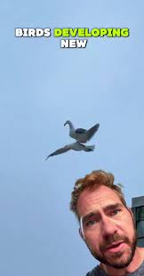 Bird Update 🐦 #birds #news #tech