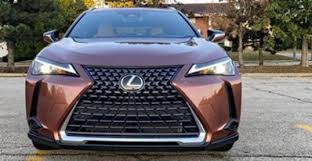 Image result for Autumn Shimmer 2019 UX