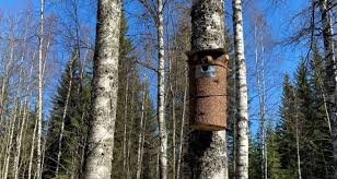 Bird house from a natural log. How To Make A Diy Birdhouse From A Log
