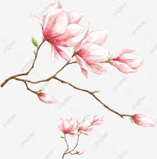 Pin On Wallpaper