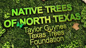 Check spelling or type a new query. Native Trees Of North Texas Sustainable Landscape Series Youtube