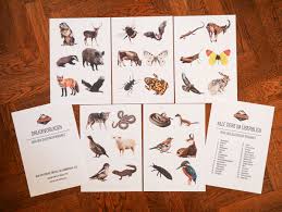Check spelling or type a new query. Spiele Fur Kleinkinder Zuordnungsspiele Tiere Der Berge We Love Zillertal