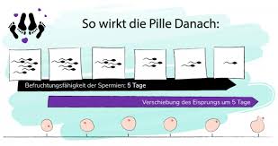 Unabhängig davon, wann die pille vergessen wurde, sollten die restlichen pillen wie gewohnt weiter eingenommen werden, damit die periodenblutung nicht verfrüht einsetzt. Pille Danach Alles Zur Einnahme Wirkung Sicherheit