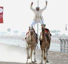 It is much harder for a rich person to enter the kingdom of god than for a camel to go through the eye of a needle. in st. Identity 2016 Camel Racing A Market Worth Millions Bbc News