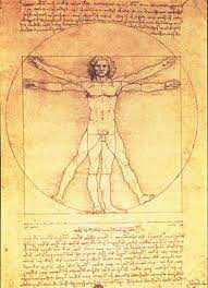 Vitruvian Man Proportions Of The Human Figure Prints Leonardo Da Vinci Allposters Com In 2021 Da Vinci Vitruvian Man Vitruvian Man Leonardo Da Vinci
