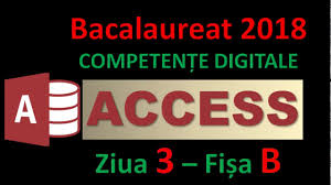 Scrieți pe foaia de examen anul în care a fost obținut brevetul francez 3208 cu titlul plume. Access Competente Digitale 2018 Ziua 3 By Kalytheo