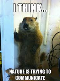 Strategically located in port orange, dave's pest control provides pest control and extermination services for a large area on the east coast of florida. Dave S Pest Control Inc Home Facebook