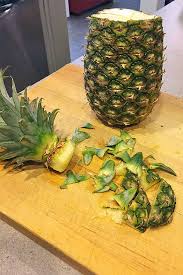 How to you can transplant your plant into a 10″ to 12″ pot. Grow Pineapple From Kitchen Scraps At Home Gardener S Path
