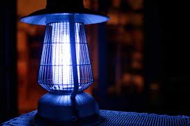 7 Best Bug Zappers In 2020 Indoor And Outdoor Insect Zappers
