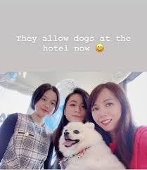 大劉和呂麗君的17歲女兒劉秀盈能歌善舞，最近更取得英國皇家舞蹈學員發出的grade 6 (ballet) 證書。（ig：zoelau_dancer） 坐擁逾千億資產的商人「大劉」劉鑾雄在2016年與甘比註冊結婚後，便向外界宣布於2014年與前度呂麗君分手，但承諾繼續履行父親責任，會負擔呂麗君所生下的女兒劉秀盈（zoe）和. åŠ‰é'¾é›„å¥³å…'ç§€ç›ˆæ²'æŒæœ‰ç‰©æ¥­ å'‚éº—å› è·Ÿè'—åª½é€™æ¢è·¯èµ°å¯èƒ½ç‰©è³ªæ­¸é›¶ æ¯æ—¥é ­æ¢