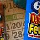 Bingo for the River Falls Youth Hockey Association event image