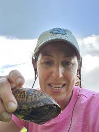 Lost Toy Found in Kortright Hills Neighbourhood Near 8 Pheasant Run