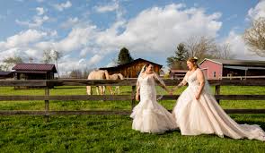 Rustic Outdoor Barn Wedding In Asheville Nc In 2020 Barn Wedding