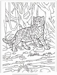 Coloring Pages Of African Animals Elegant Huge Collection Of Drawing Pages Of Animals Downlo Zoo Animal Coloring Pages Zoo Coloring Pages Jungle Coloring Pages