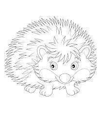 This hedgehog coloring page is also a super simple art activity for toddlers to enjoy so click here and grab your hedgehog coloring sheet today! Hedgehog Coloring Pages For Children 100 Images Print Them Online