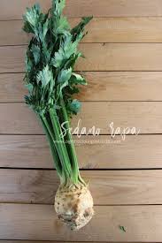 Maybe you would like to learn more about one of these? Ogni Riccio Un Pasticcio Blog Di Cucina Vellutata Di Sedano Rapa E Porcini