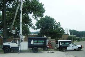 Gp Tree Service Provides Tree Trimming Removal To Both Residential And Commercial Customers Here They Are Trimming And Tree Service Ohio Football Tree Care