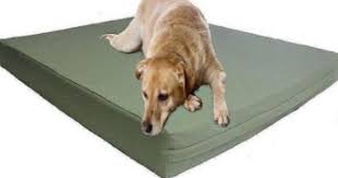 Amazon Com Xxl Extra Large Waterproof 55 X37 X4 Orthopedic Memory Foam Pad Pet Dog Bed With Tough External Canvas Co Dog Pet Beds Memory Foam Dog Bed Dog Bed