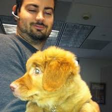 Matthew Harrington (@mrharrington07)