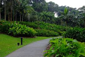 Mass Planting Of Heliconias Mostly Psittacorum Tropical Garden Design Tropical Landscape Design Garden Landscape Design