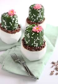There are few plants i love more than cactus. Mini Potted Cactus Cakes Sprinkle Bakes