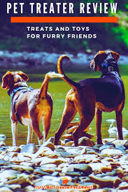 Each pet treater auto cat subscription box gives you: Pet Treater Review Monthly Subscription Box For Dogs And Cats Elderly Dog Care Pet Care Dogs Dog Paw Care