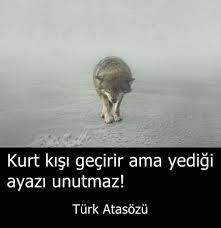 kurt kisi gecirir ama yedigi ayazi unutmaz atasozleri guzel soz ozlu sozler
